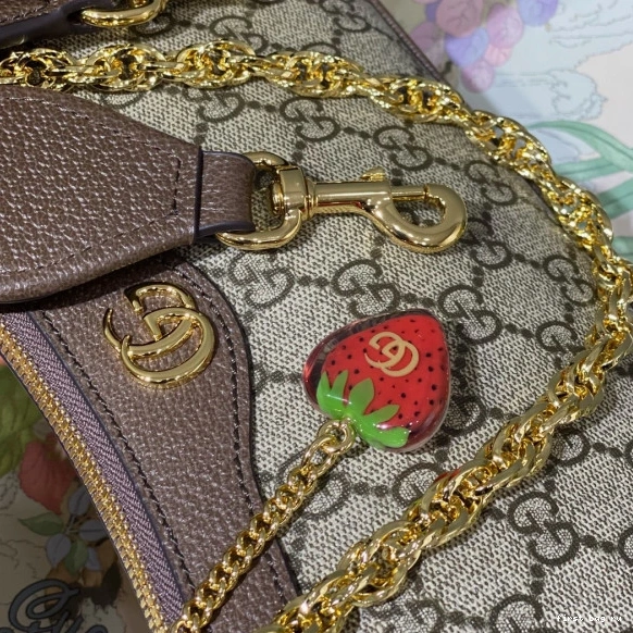 Firstbag ru Gucci small bag-25*15.5*6cm shoulder Ophidia 0813